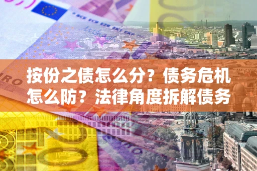 北京按份之债怎么分？债务危机怎么防？法律角度拆解债务分配与风险自保指南