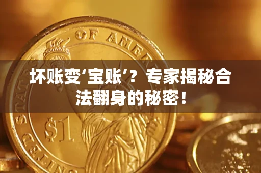 北京坏账变‘宝账’？专家揭秘合法翻身的秘密！