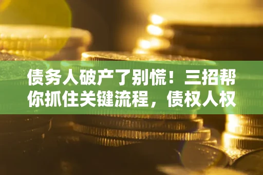 北京债务人破产了别慌！三招帮你抓住关键流程，债权人权益不再缩水