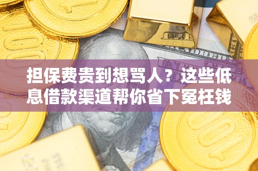 北京担保费贵到想骂人？这些低息借款渠道帮你省下冤枉钱