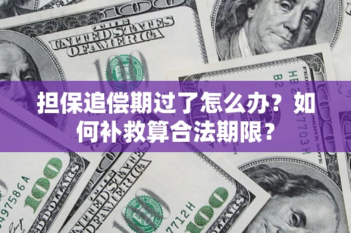 北京担保追偿期过了怎么办？如何补救算合法期限？