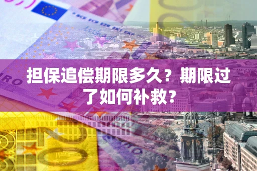 北京担保追偿期限多久？期限过了如何补救？