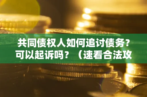 北京共同债权人如何追讨债务？可以起诉吗？（速看合法攻略）