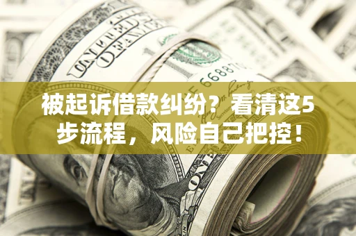 北京被起诉借款纠纷？看清这5步流程，风险自己把控！