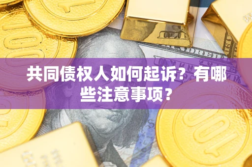 北京共同债权人如何起诉？有哪些注意事项？